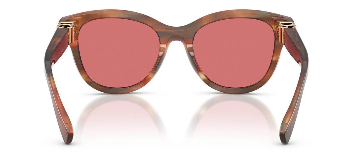 Dolce&Gabbana DG4533