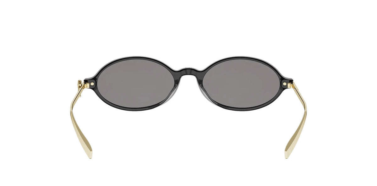 Dior Bow R2I