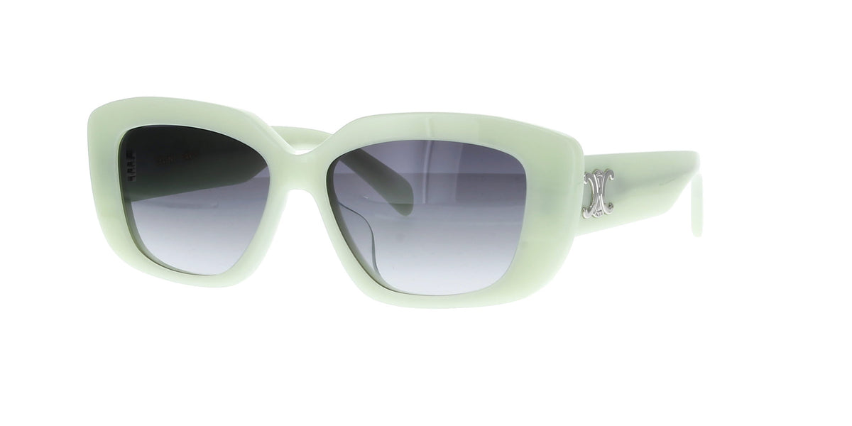 CELINE Triomphe CL40216U
