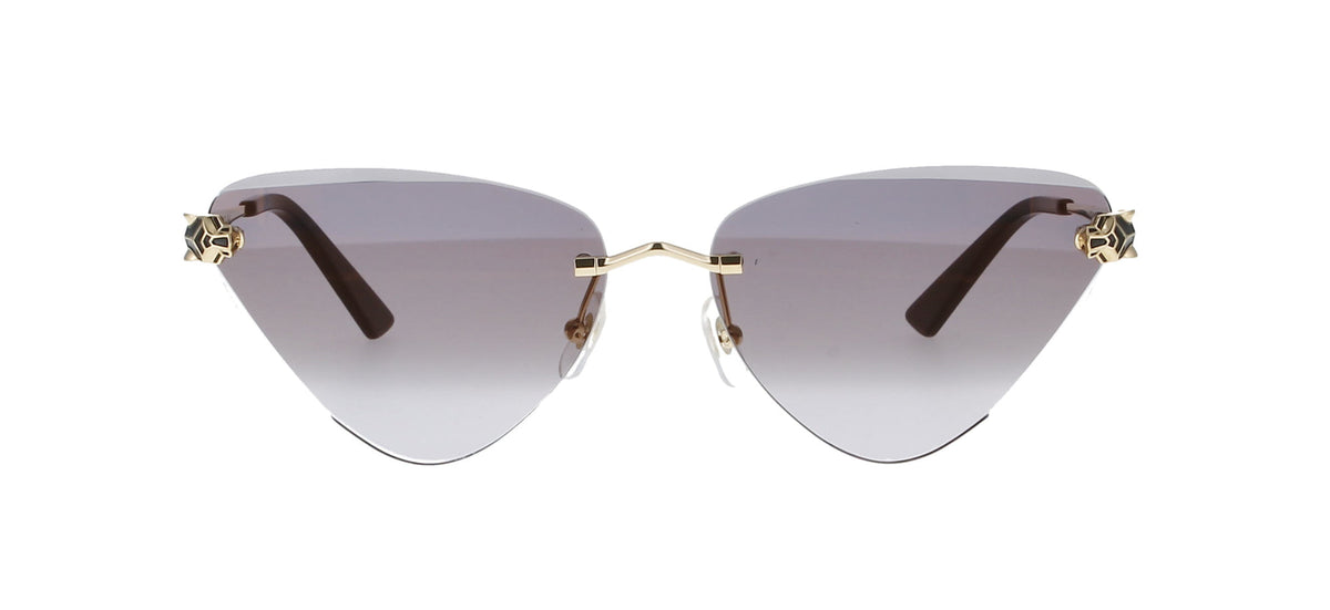 Cartier CT0399S