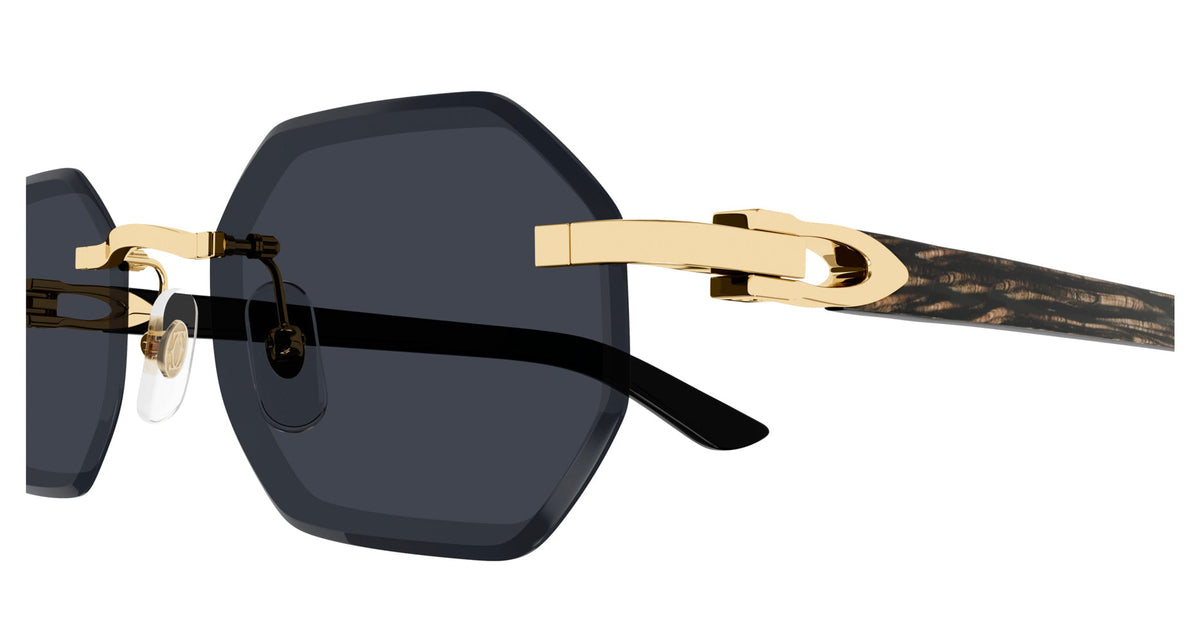 Cartier CT0439S