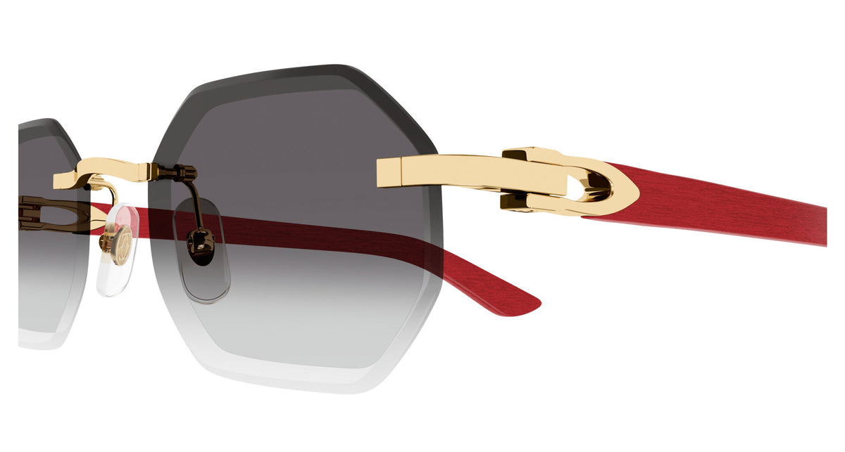 Cartier CT0439S