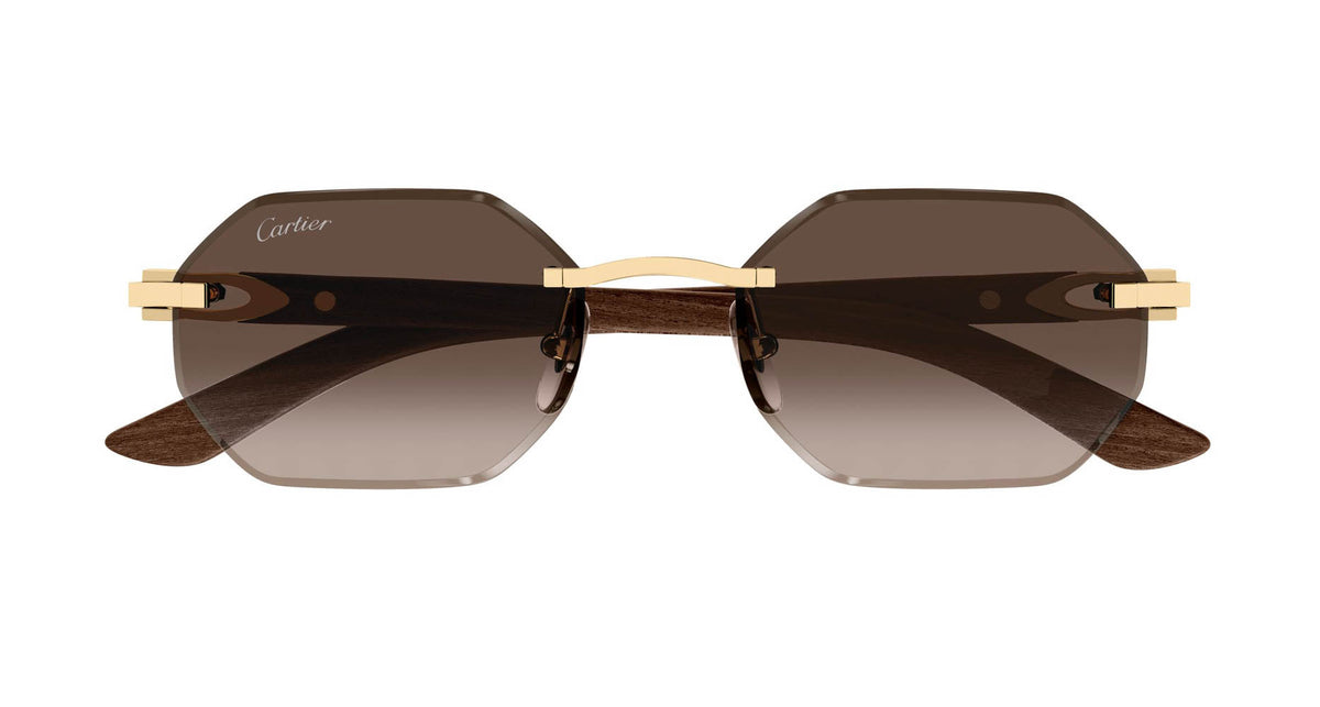 Cartier CT0439S