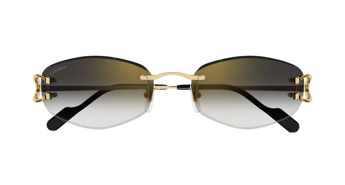 Cartier CT0467S