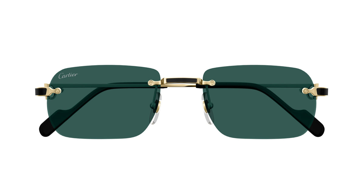 Cartier CT0498S