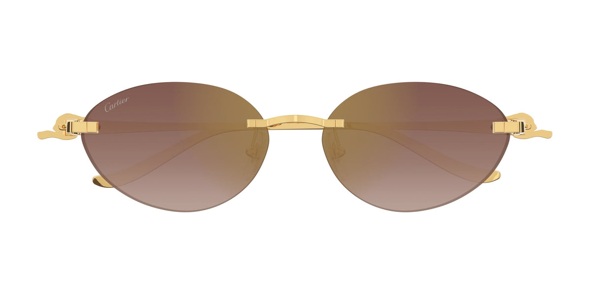 Cartier CT0504S