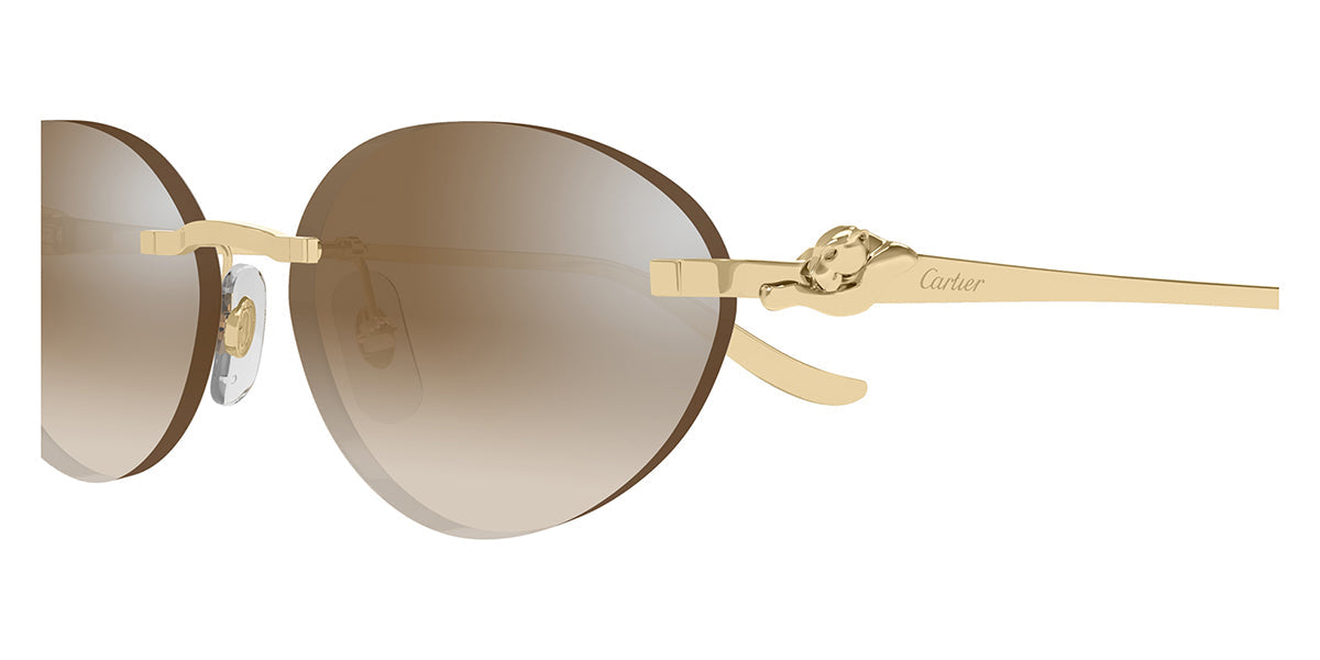 Cartier CT0504S