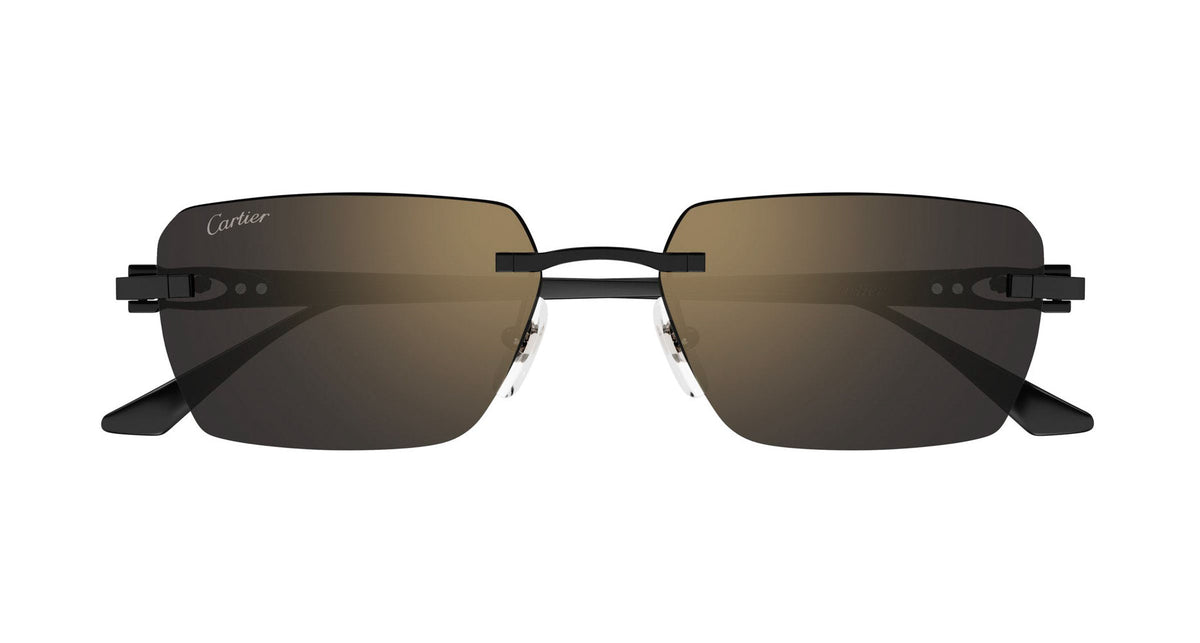 Cartier CT0660S