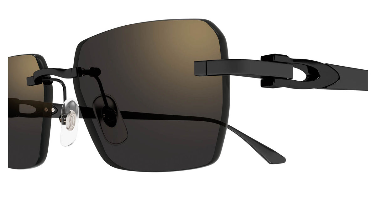 Cartier CT0660S