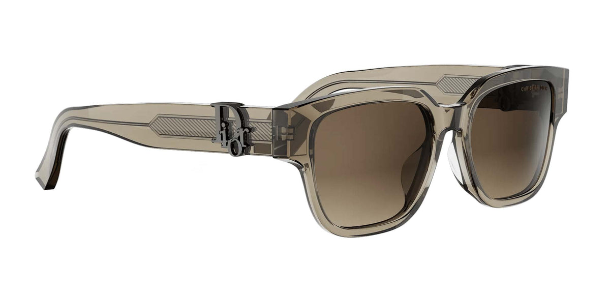 Dior Oblique S1F