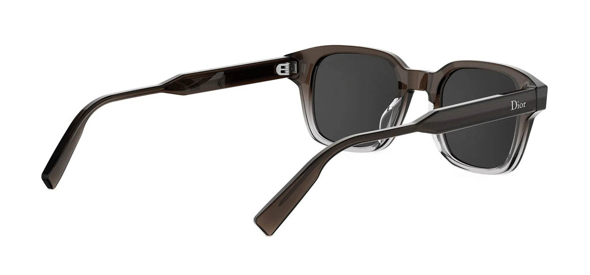 Dior DioRibbon S1I