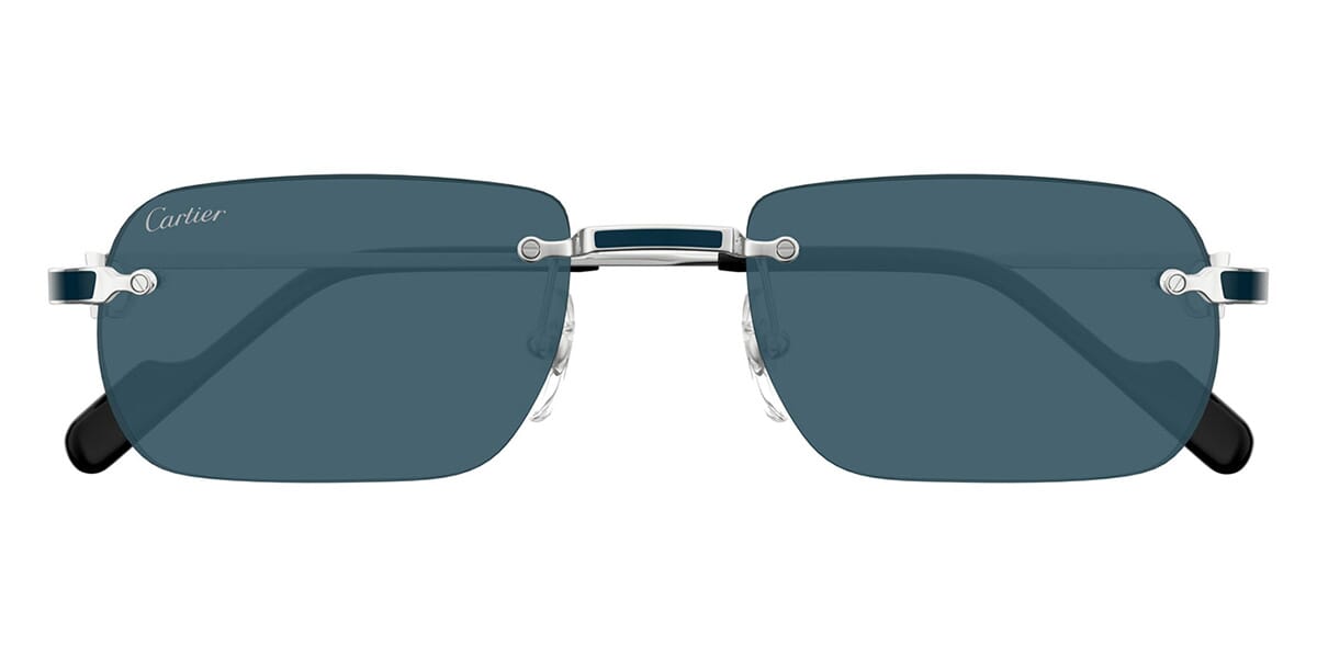 Cartier CT0498S