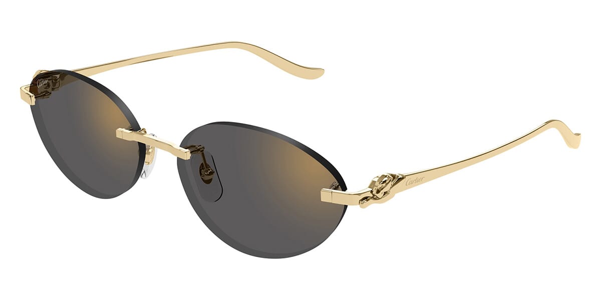Cartier CT0504S