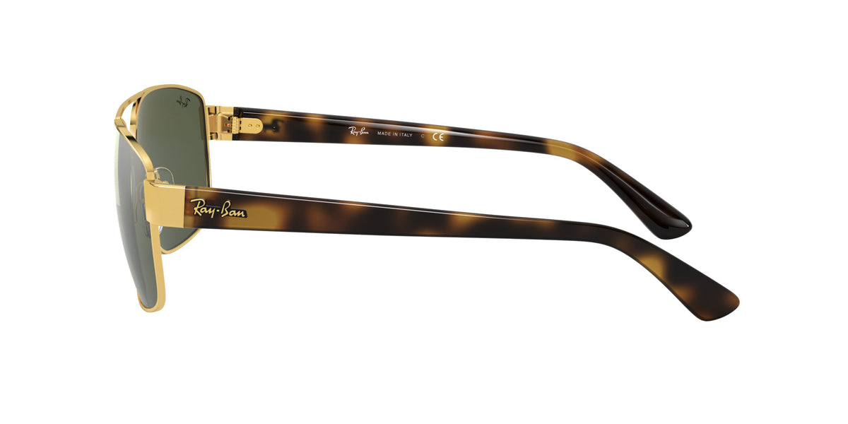 Ray-Ban RB3663