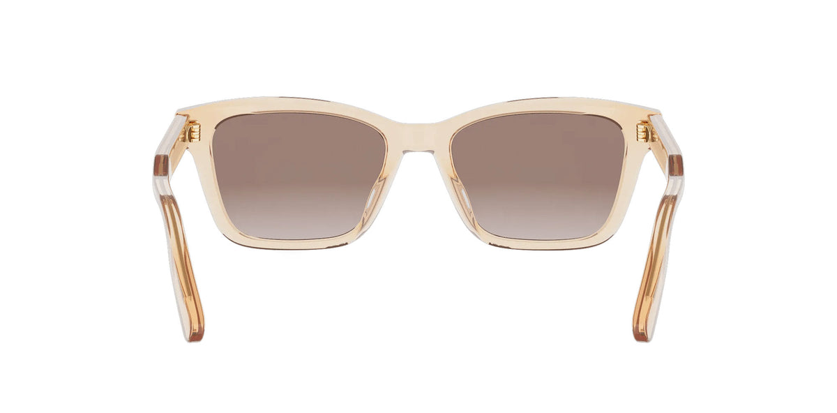 Dior DioRibbon S2I