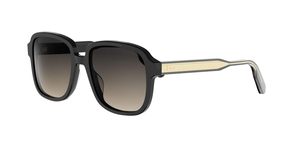 Dior DioRibbon S1I
