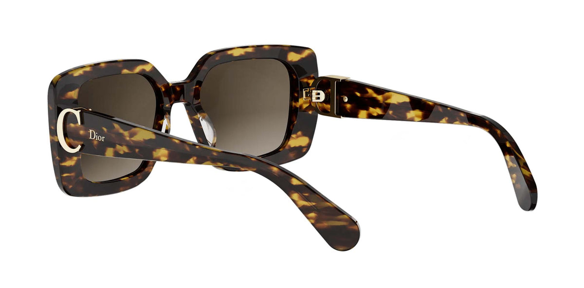 Dior Initials S2I