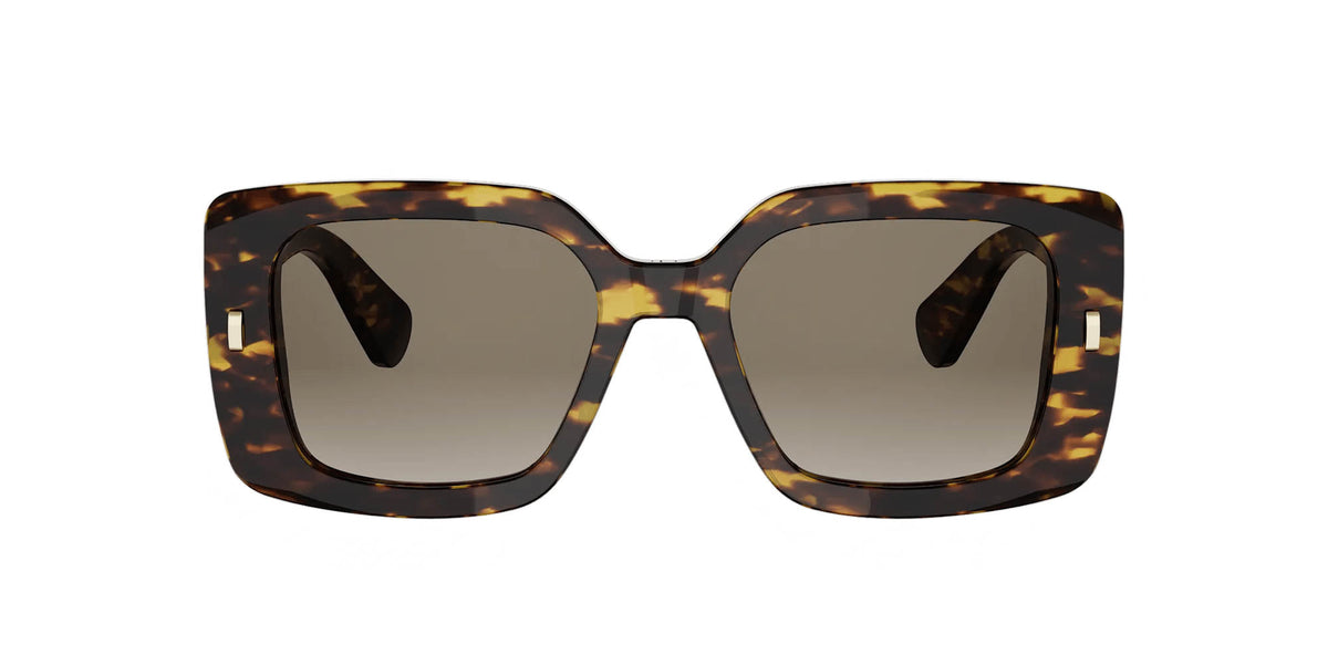 Dior Initials S2I