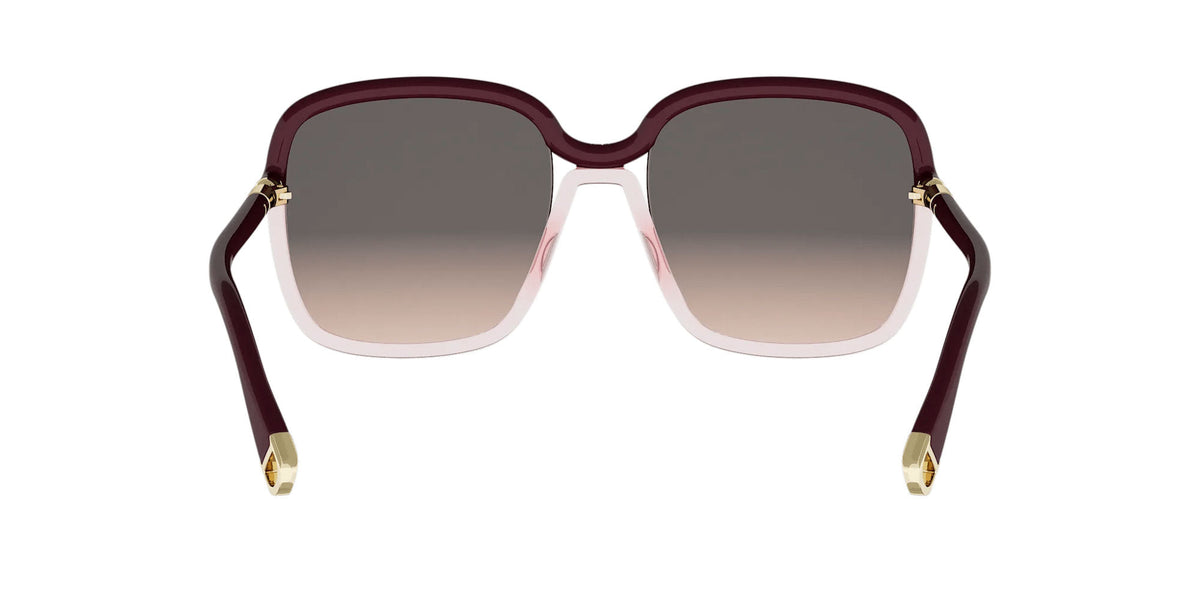 Dior Twincolours S1I