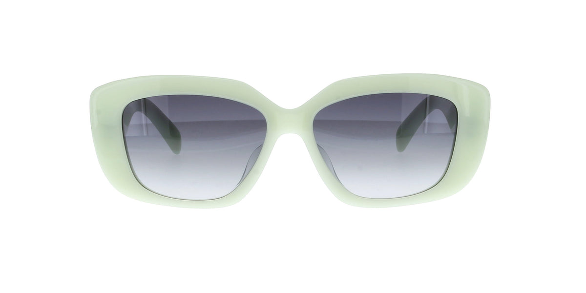 CELINE Triomphe CL40216U