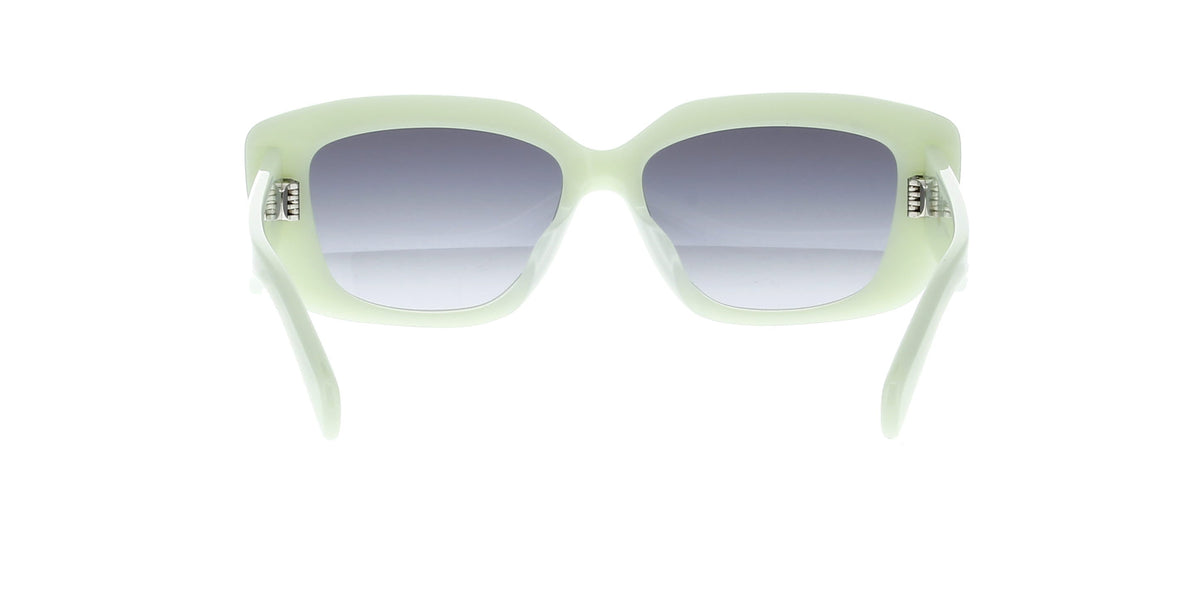 CELINE Triomphe CL40216U