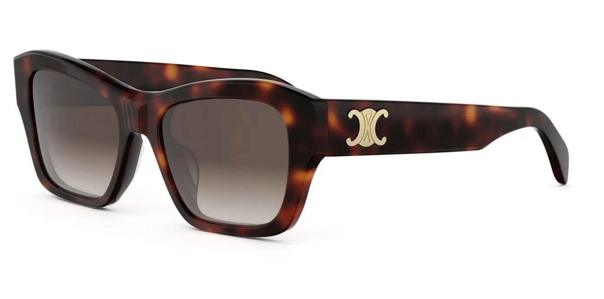 CELINE Triomphe CL40330U