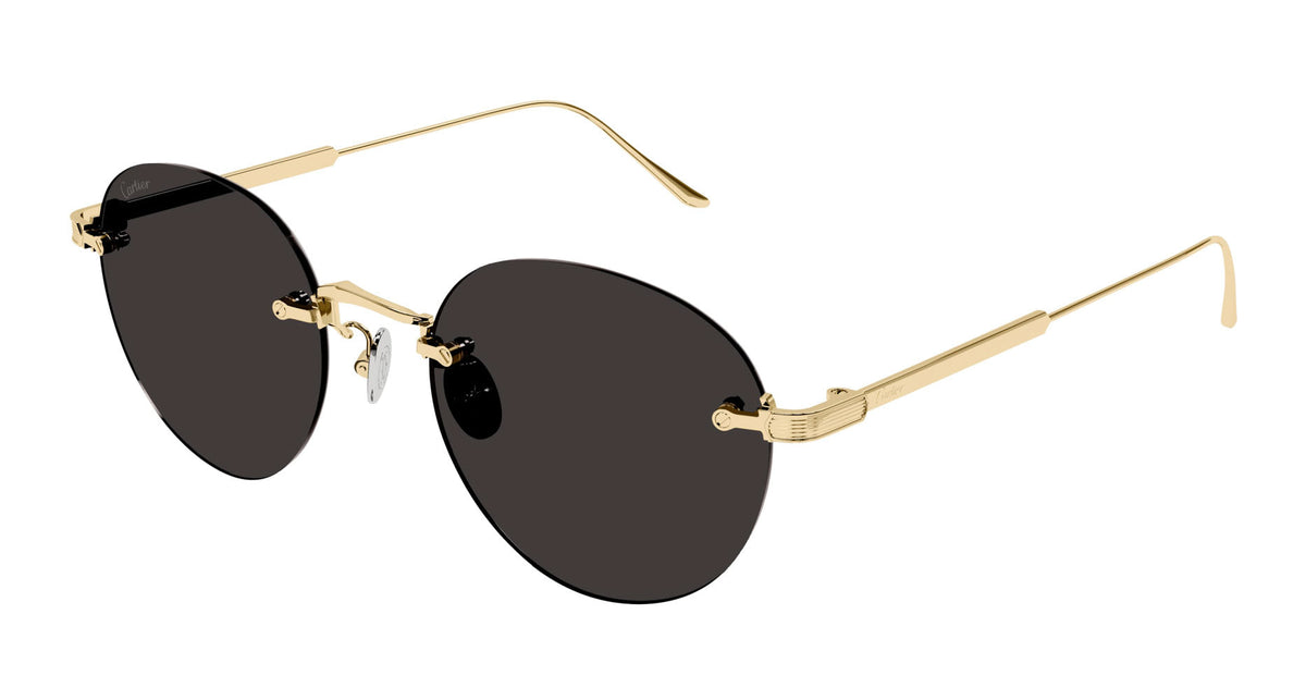 Cartier CT0393S