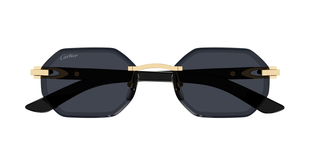 Cartier CT0439S