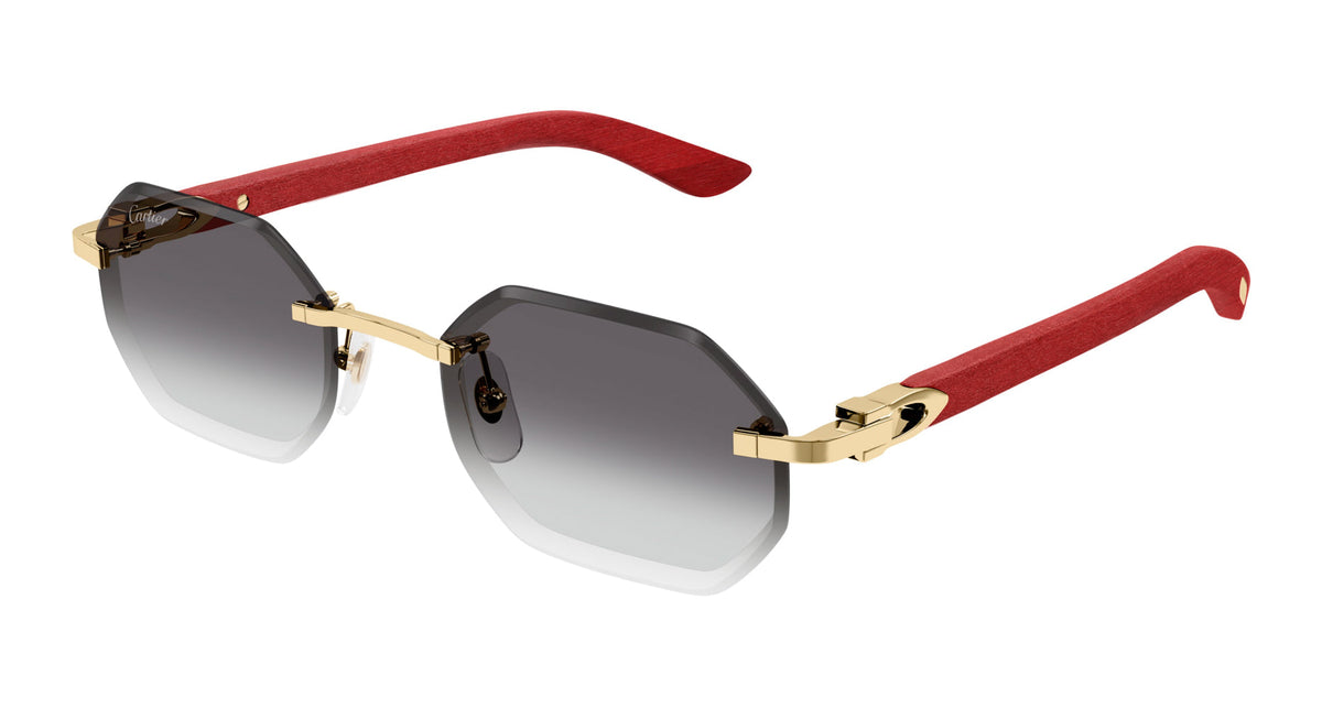 Cartier CT0439S