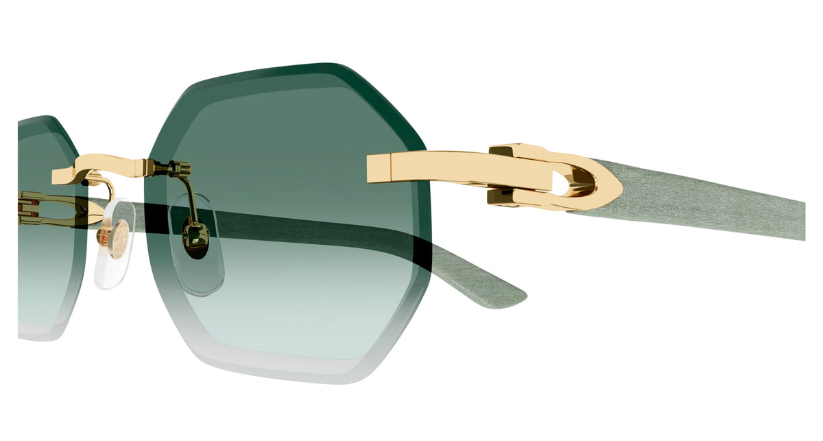 Cartier CT0439S