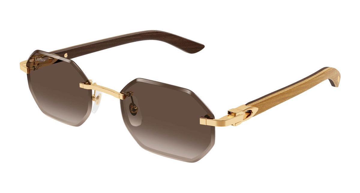Cartier CT0439S