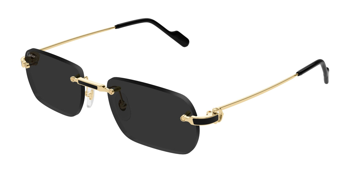Cartier CT0498S