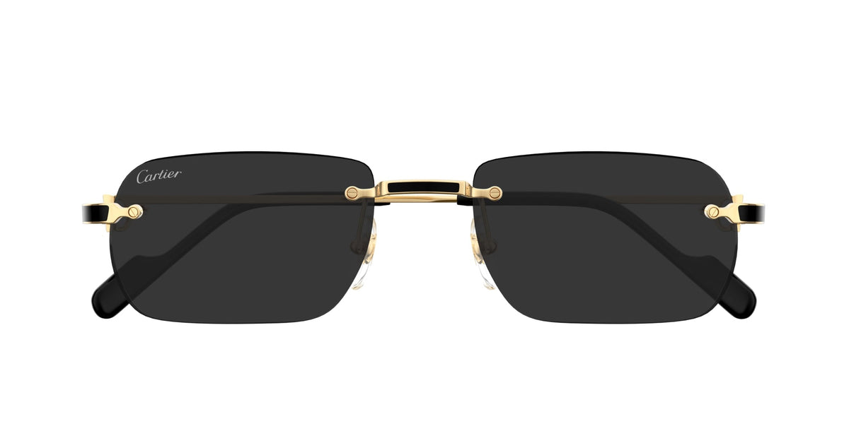Cartier CT0498S