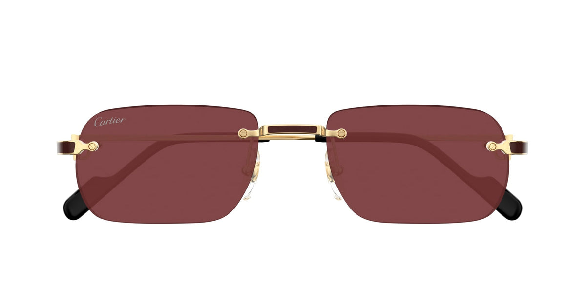 Cartier CT0498S