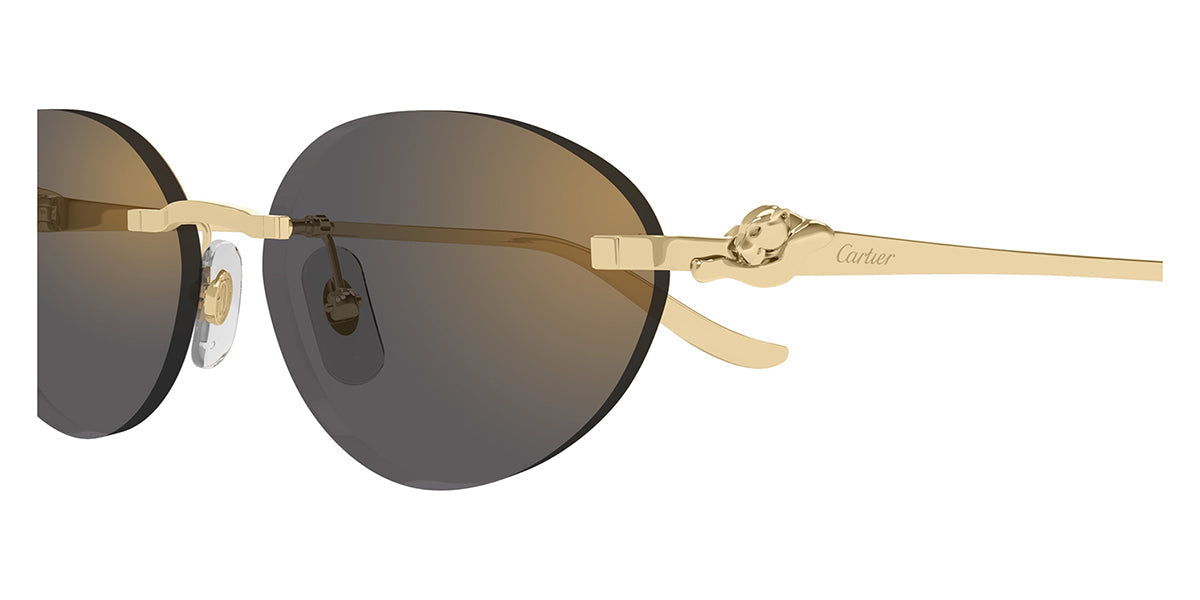 Cartier CT0504S