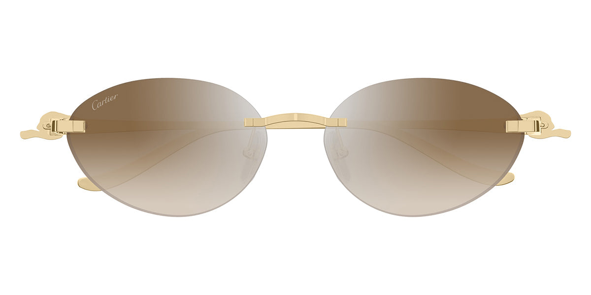 Cartier CT0504S