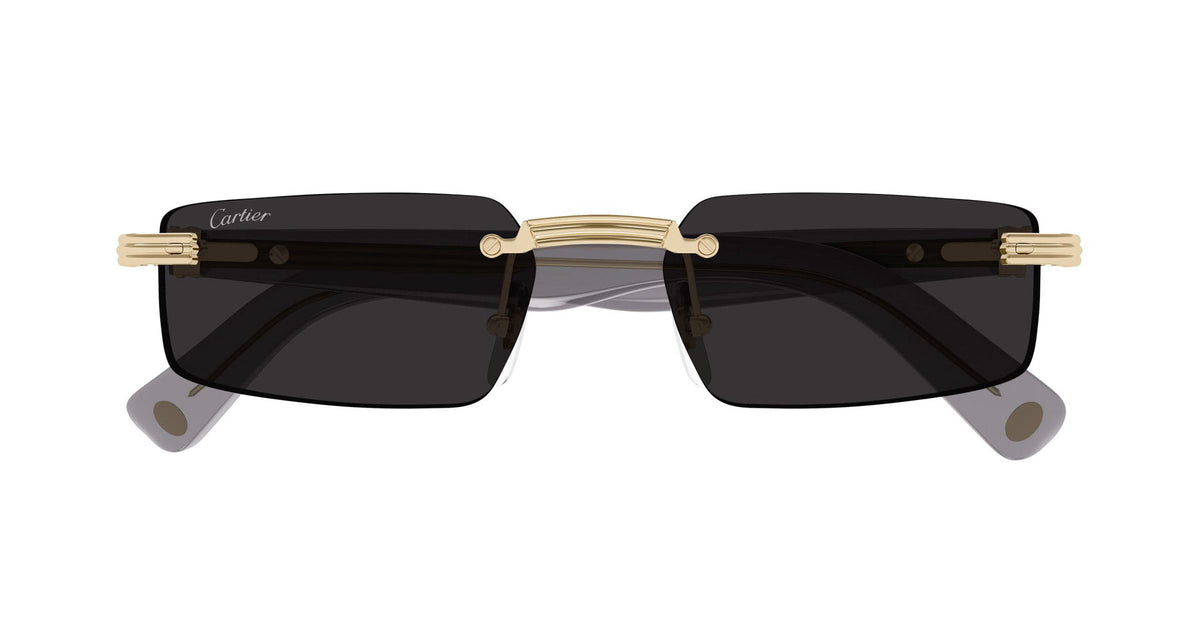 Cartier CT0537S