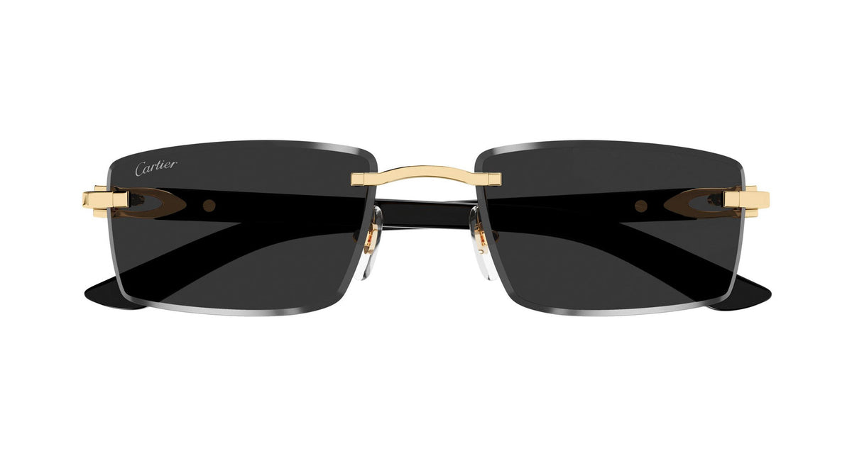 Cartier CT0582S