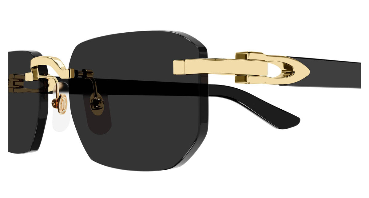 Cartier CT0622S