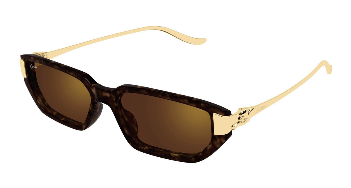 Cartier CT0674S
