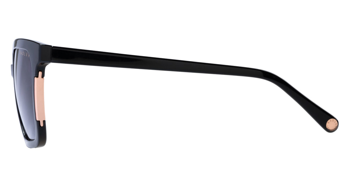 Radley RDS-6506