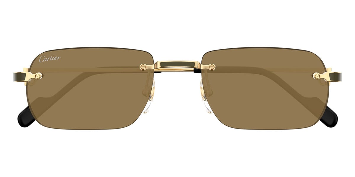 Cartier CT0498S