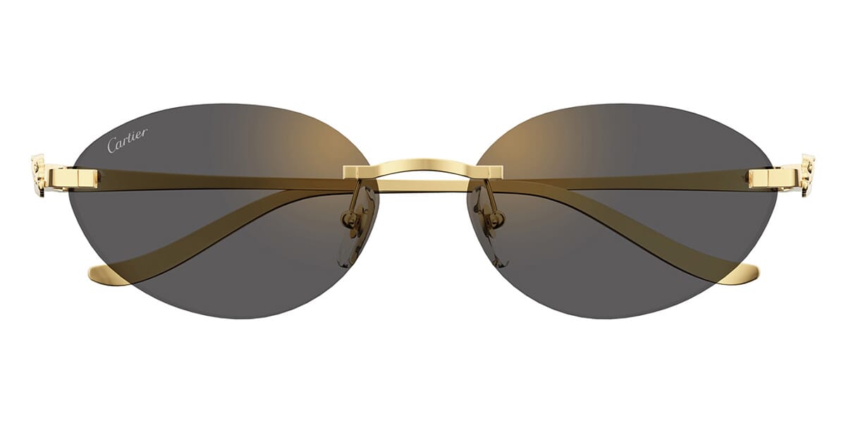 Cartier CT0504S