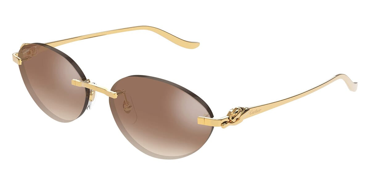 Cartier CT0504S