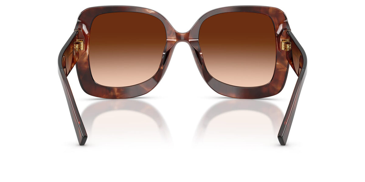 Dolce&Gabbana DG4513