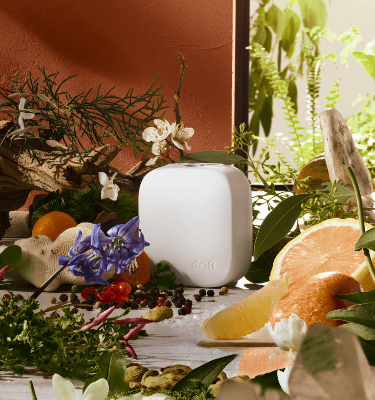 Home Scent Diffuser Gifted