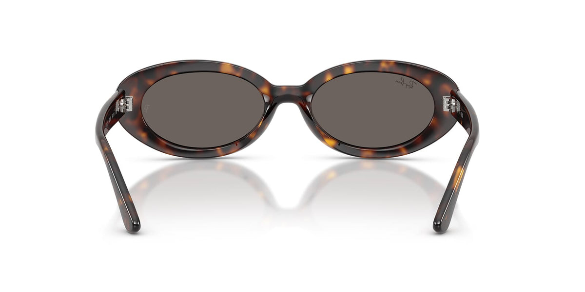 Ray-Ban RB2223